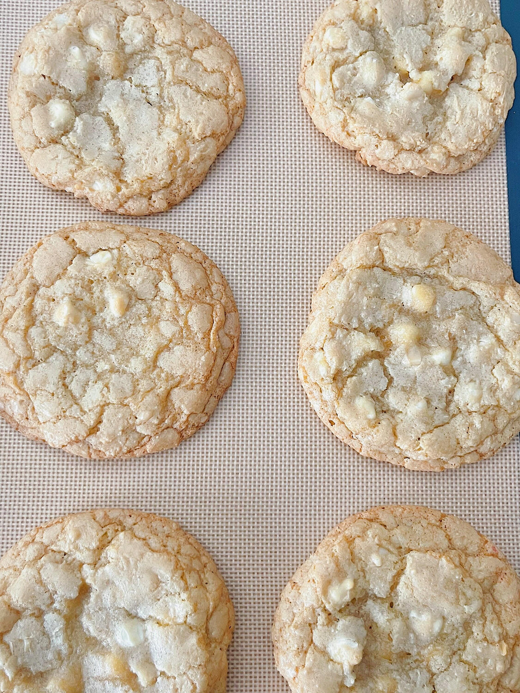 White Chocolate Macadamia Cookies
