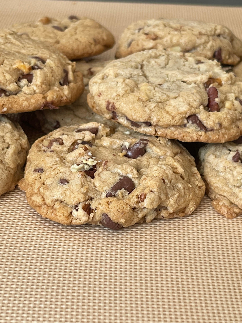 Walnut Pecan Chocolate Chip Cookies | Gourmet Treat, Baked Fresh