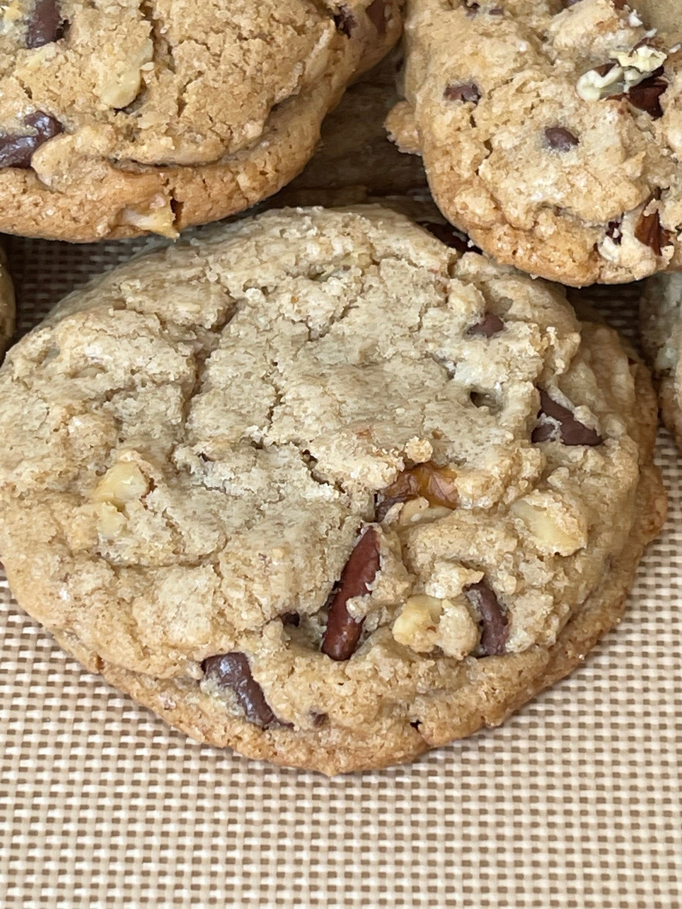 Walnut Pecan Chocolate Chip Cookies | Gourmet Treat, Baked Fresh