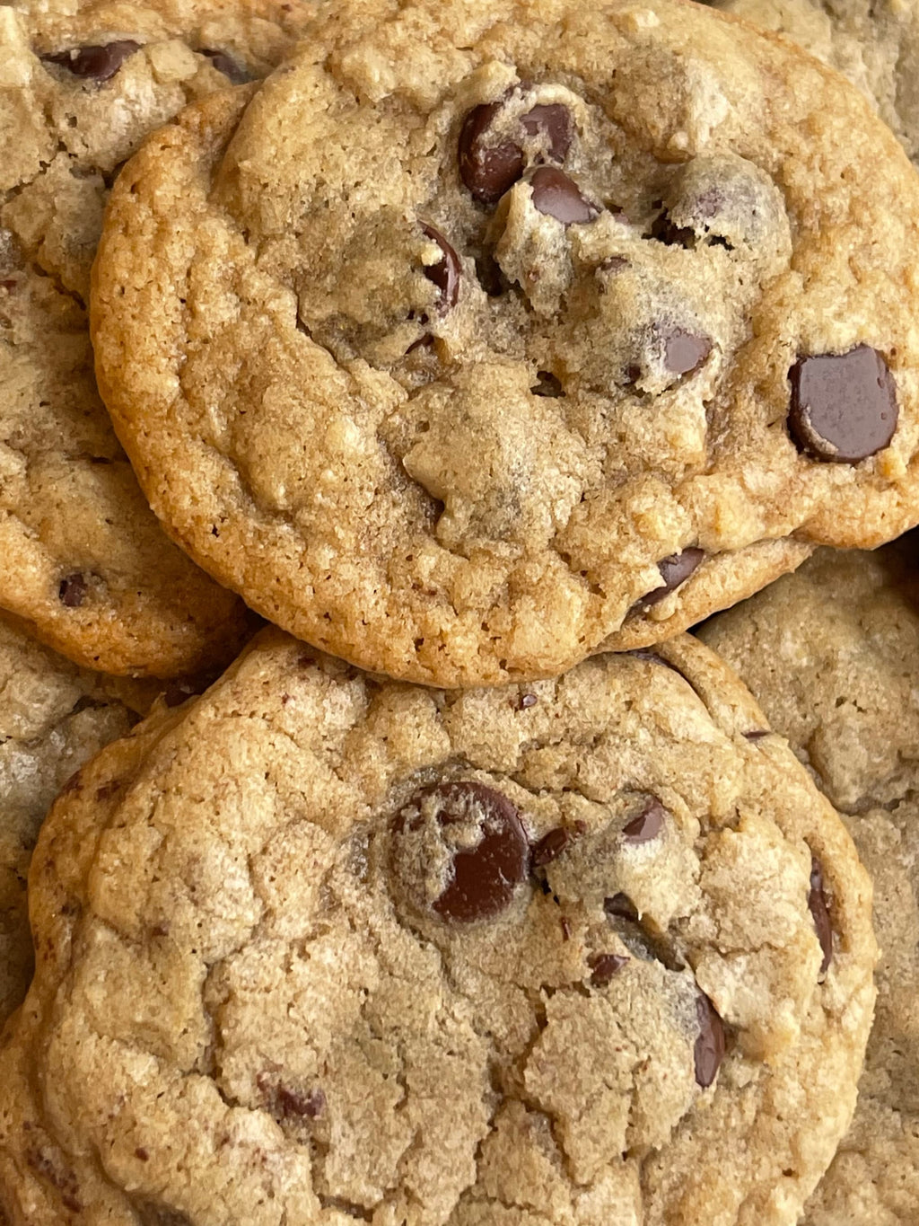 Chocolate Chip Cookies