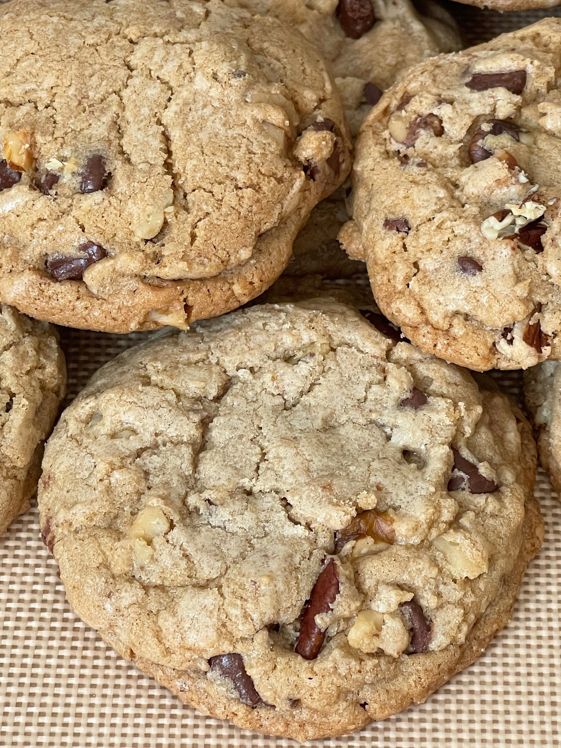 Walnut Pecan Chocolate Chip Cookies | Gourmet Treat, Baked Fresh