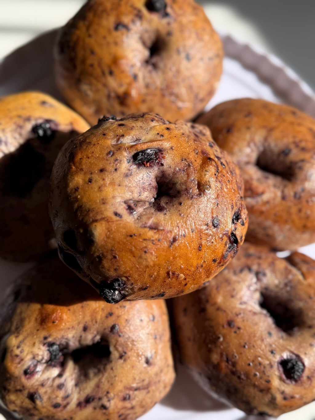 New York Blueberry Bagels (6 per order)