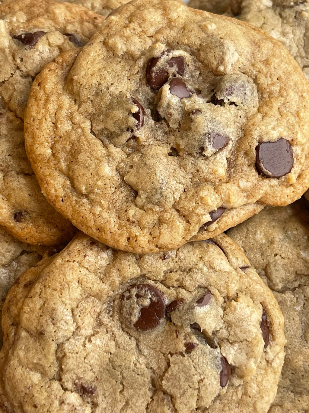 Chocolate Chip Cookies
