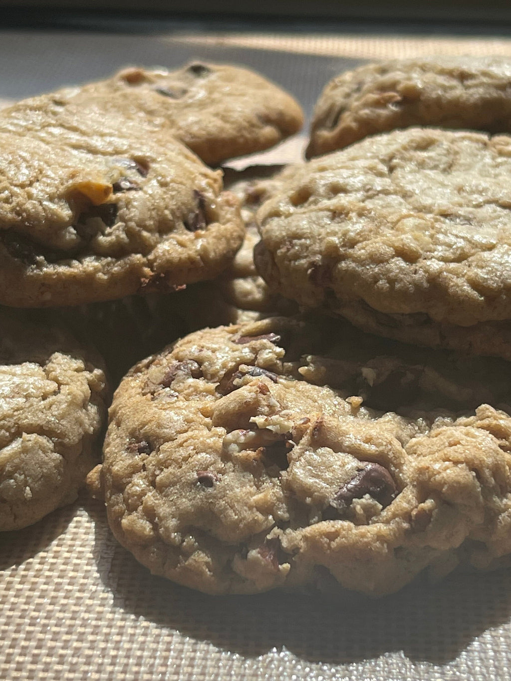 Walnut Pecan Chocolate Chip Cookies | Gourmet Treat, Baked Fresh