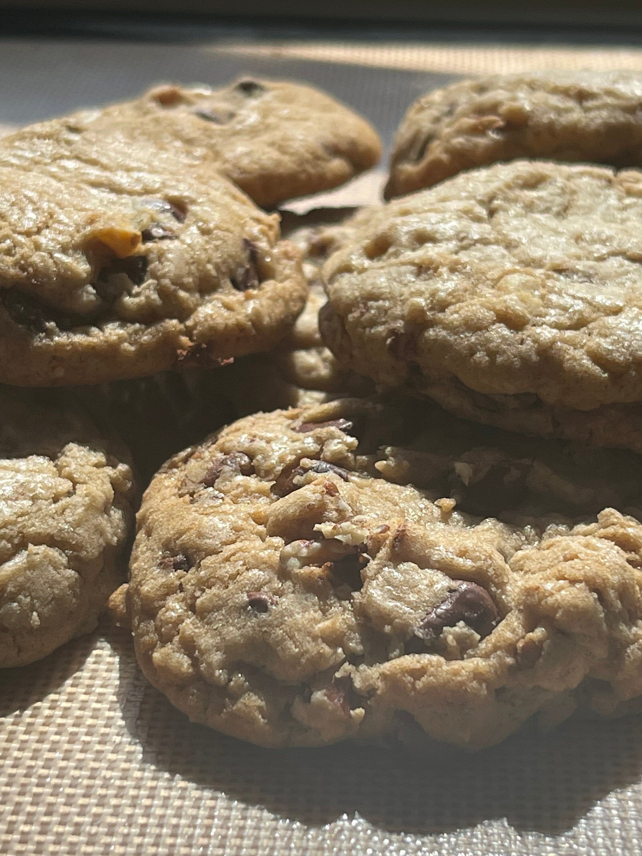 Walnut Pecan Chocolate Chip Cookies | Gourmet Treat, Baked Fresh